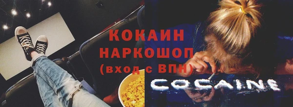 спиды Бородино