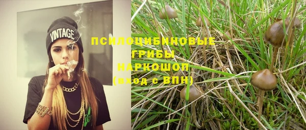 2c-b Бронницы