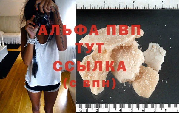 спиды Бородино
