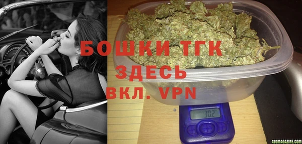 спиды Бородино